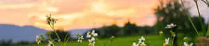 Discover the breathtaking grandeur of nature