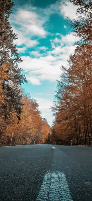 4k Nature Iphone Road