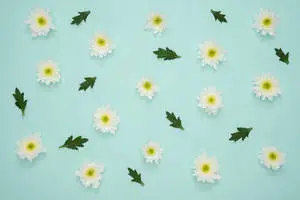 4K Tablet Mint Green Daisies