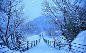 Shirakawa-Go In 4k Winter Background