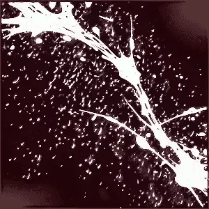 Abstract Art White Splatter PNG vsy