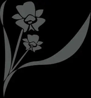 Abstract Black Flower Graphic