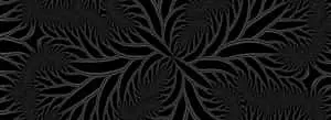 Abstract Black Fractal Artwork.jpg