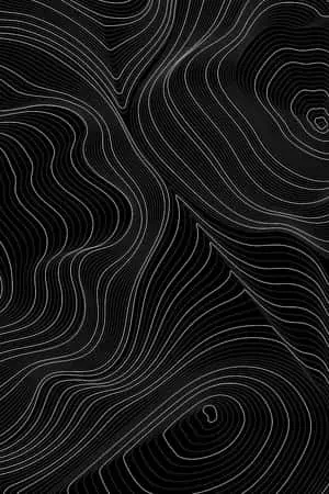 Abstract Blackand White Topography