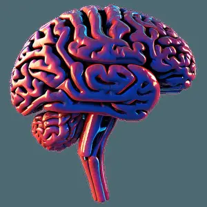 Abstract Brain Outline PNG 29