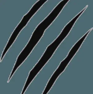Abstract Claw Marks Graphic