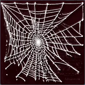 Abstract Cobweb Art PNG 05262024