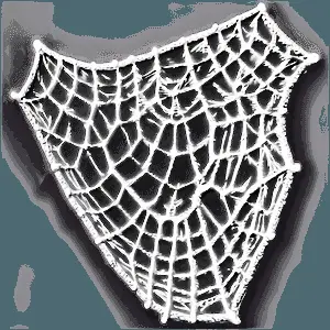 Abstract Cobweb Art PNG 05262024