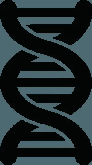 Abstract D N A Double Helix Illustration
