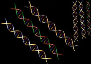 Abstract D N A Strands Illustration