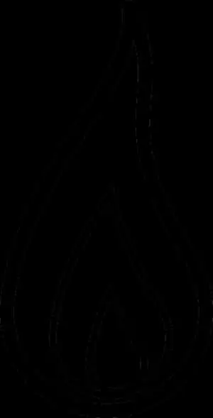 Abstract Flame Outline