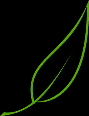 Abstract Green Leaf Vector Art