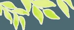 Abstract Green Leaves Illustration