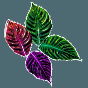 Abstract Leaves PNG 05042024