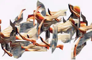 Abstract pictures