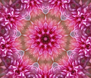 Abstract Pink Color Floral Pattern