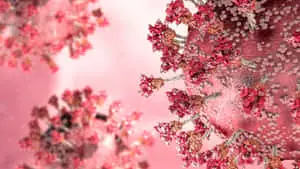 Abstract Pink Crystal Growth