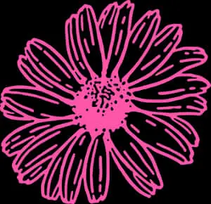 Abstract Pink Daisy Graphic