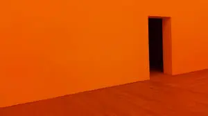 Abstract Simplicity