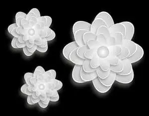 Abstract White Flowerson Black Background
