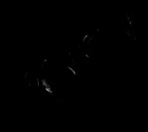 Abstract_ Black_ Texture_ Background