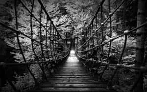 Abstract Art in Black and White