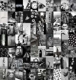 Abstract patterned shapes in black and white