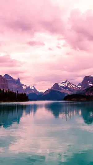"Explore the Majestic Beauty of Nature"