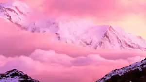 "Find Your Eternal Youth in the world of Aesthetic Pink Anime" 