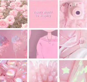  "Shades of pink come together to create an Aesthetic beauty".