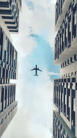 Airplane Ants POV Background