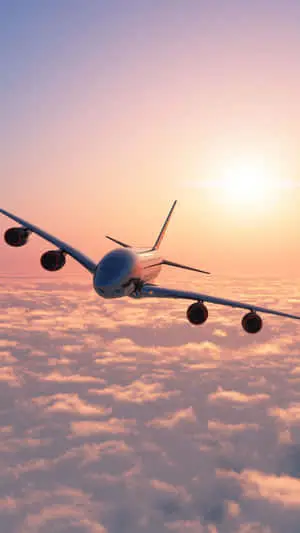 Airplane In Sunset Sky Portrait Background