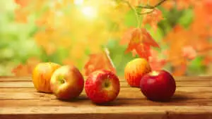 The Latest Apple 4K Technology