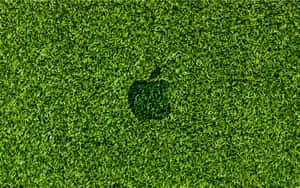 Apple Artificial Grass