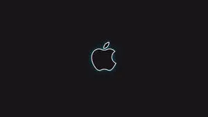 Apple Logo 4k With White Borders
