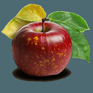 Autumn Apple PNG 04292024