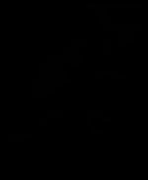 Black Abstract Background