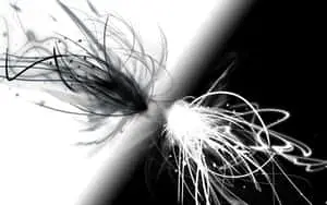Black and White Abstract Art Masterpiece