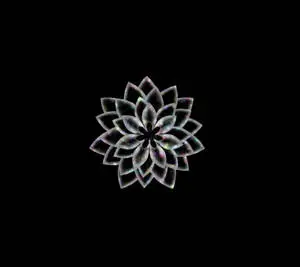 Black And White Flower Abstract