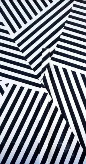 Abstract interplay of black and white stripe