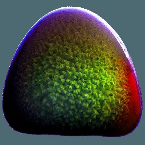 Blob in Nature PNG hdi78