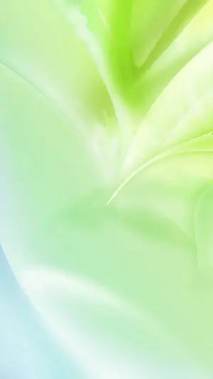 Blue And Super Light Green Phone