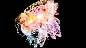 Butterfly Spirit Abstract Art