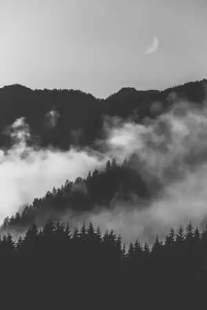  Caption: "Elegant Simplicity – Black and White Patterns" 