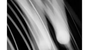 Captivating Convergence of Abstract White Designs