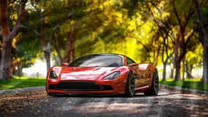 cars background