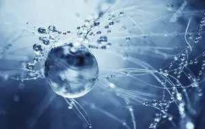 Stunning 3D Visualization of Water Molecules