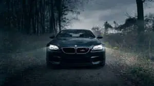 Cool BMW In Forest