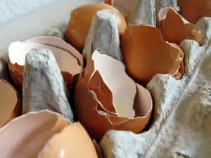 "The Perfect Shade of Eggshell: An Elegant and Soft Hue that adds a Subtle Contentment to any Home"