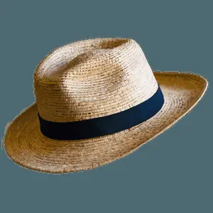 Fedora Hat in Nature PNG 06262024